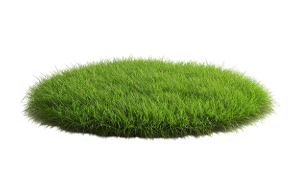 Patch of fresh green lawn grass, cut out