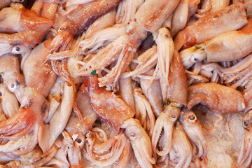 Fresh squid displayed on ice at a market in the morning
