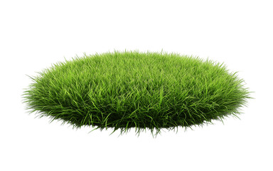 Patch of fresh green lawn grass, cut out