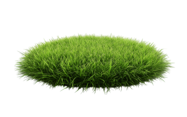 Patch of fresh green lawn grass, cut out