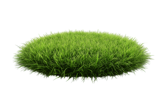 Patch of fresh green lawn grass, cut out