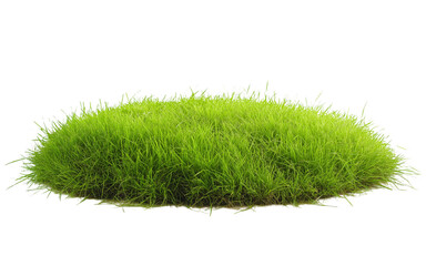 Patch of fresh green lawn grass, cut out