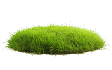 Patch of fresh green lawn grass, cut out