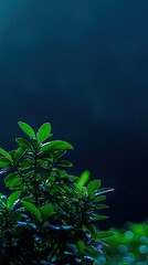 Lush green aquatic plant, underwater, dark background, nature