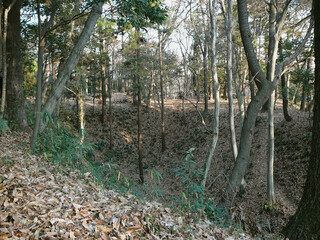 Fototapeta premium 日本：松山城跡（別名は武蔵松山城）戦国時代の山城【比企城館跡群として国指定史跡】埼玉県吉見町
