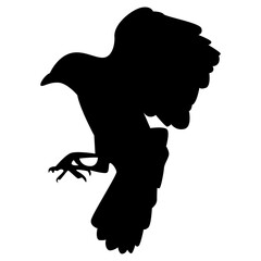 Halloween Crow Silhouette. Isolated on White Background. 