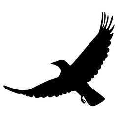 Halloween Crow Silhouette. Isolated on White Background. 