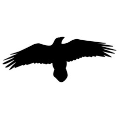 Halloween Crow Silhouette. Isolated on White Background. 