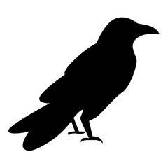 Halloween Crow Silhouette. Isolated on White Background. 