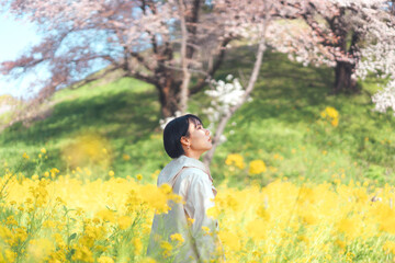 Fototapeta premium Young adult woman standing with yellow flower and sakura tree in spring season