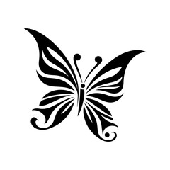 Black and white butterfly .The Most Beautiful Butterflies in the World 