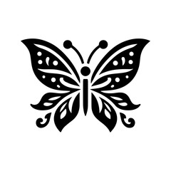 Black and white butterfly .The Most Beautiful Butterflies in the World 