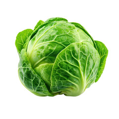 Fresh green cabbage on a Transparent background