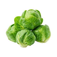 Obraz premium Fresh Brussels sprouts stacked on a Transparent background