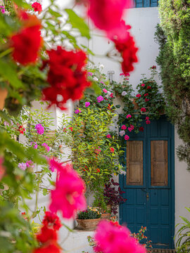 Gardens of Spain