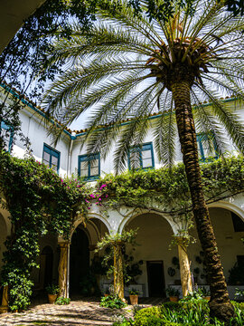 Gardens of Spain