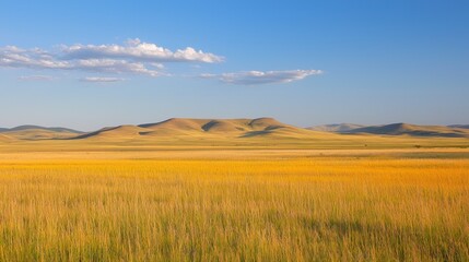 Obraz premium Golden Prairie Under Vast Sky: Serene Landscape Photography
