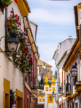 Gardens of Spain