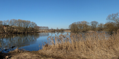 Spring walk through the forest, beautiful panorama.