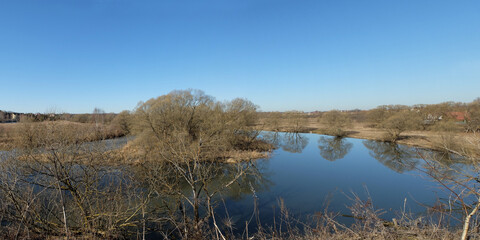 Spring walk through the forest, beautiful panorama.