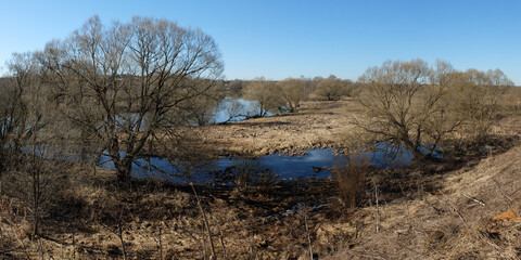 Spring walk through the forest, beautiful panorama.