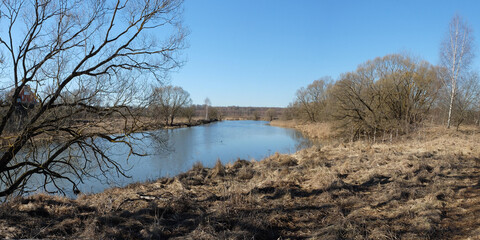 Spring walk through the forest, beautiful panorama.