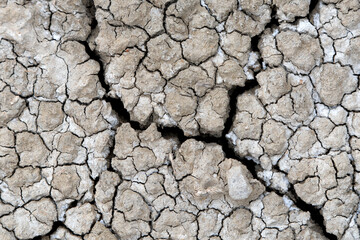 A close-up image of cracked earth revealing a dry and parched landscape, showcasing the effects of drought and the resilience of nature in challenging conditions.