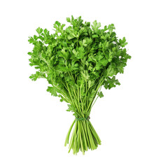 Fototapeta premium Fresh parsley bunch isolated against a clean white backdrop for culinary use and presentation, fresh parsley isolated on a isolated on white background