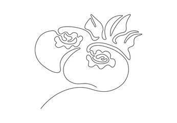 Minimalistic continuous line art of two blueberries with leaves for the logo and designs. Blueberry in one line art style.