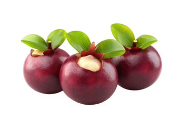 Three ripe Mangosteens with vibrant green leaves creating a visually appealing and healthy tropical fruit composition