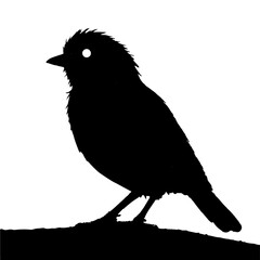 flying bird silhouette vector