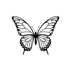 Butterfly silhouette vector