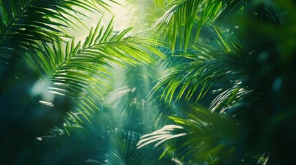 Lush Tropical Paradise: Sunlight Filtering Through Emerald Palm Fronds