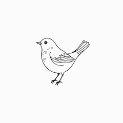 hand drawn bird