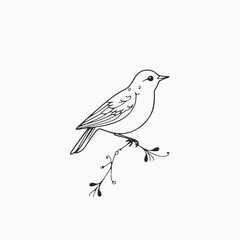 bird on a branch