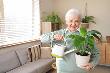 Senior gardener with plant and watering can at home