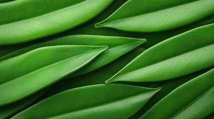Fototapeta premium Close-up of lush green leaves with textured surfaces