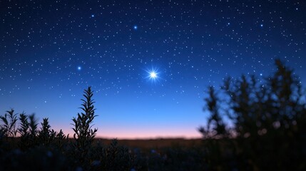 Fototapeta premium Bright Star Illuminates Night Sky Over Tranquil Landscape with Spruce Foliage in Foreground