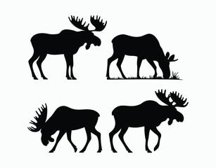 Fototapeta premium Wild Animal Moose Silhouette Template