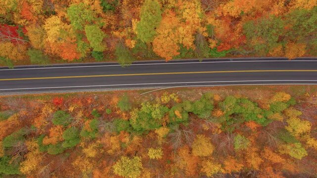 This 4K aerial shot captures a road running through a vibrant autumn forest in Roaring Brook Falls, highlighting the rich fall colors of the Adirondacks.