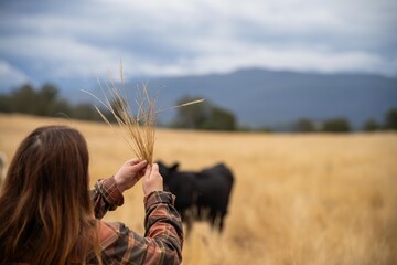 female regenerative organic farmer, taking soil samples and looking at plant growth in a farm. women in agriculture practicing sustainable agriculture good looking farmer