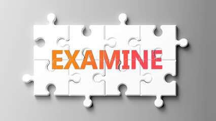 Examine complex like a puzzle - pictured as word examine on a puzzle pieces to show that examine is complex and needs cooperating pieces that fit together. ,3d illustration