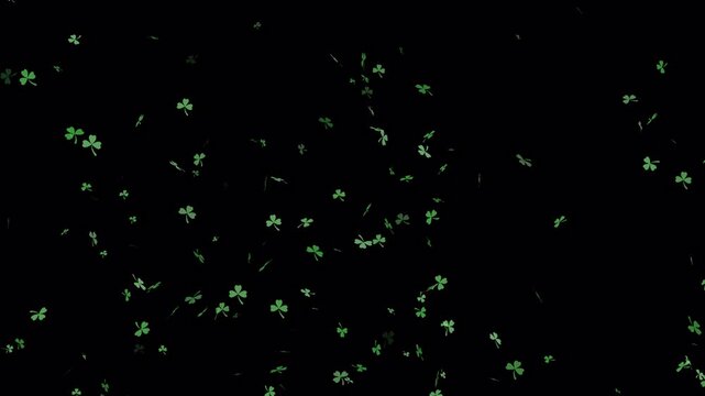 Shamrock Leaf Falling Animation With Alpha Channel. 4k Animation