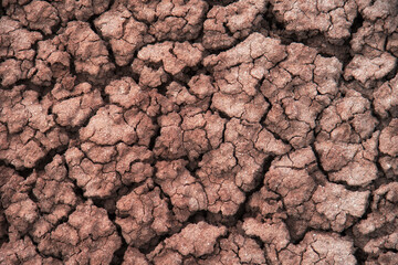 A detailed view of dry, cracked earth, illustrating the resilience of nature and the impact of environmental factors on landscapes, perfect for themes of sustainability.