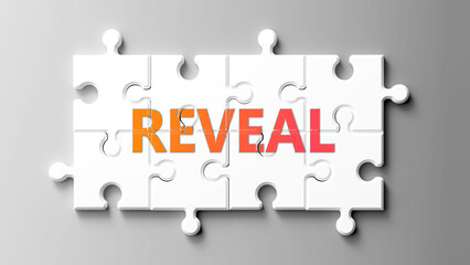 Reveal complex like a puzzle - pictured as word reveal on a puzzle pieces to show that reveal is complex and needs cooperating pieces that fit together. ,3d illustration