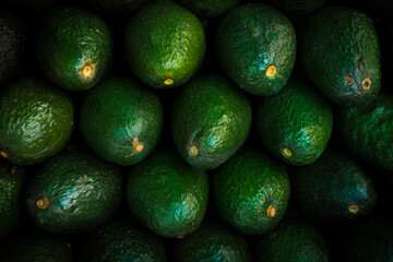 Fresh Dark Green Avocados Stacked in Bulk Display with Visible Stem Ends