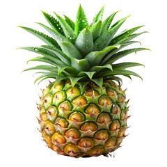Fototapeta premium pineapple on white background