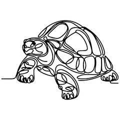 illustration of a tortoise