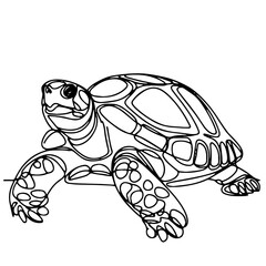 illustration of a tortoise