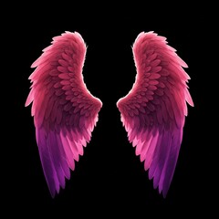 Angel pink colorful  Wings on Black Background